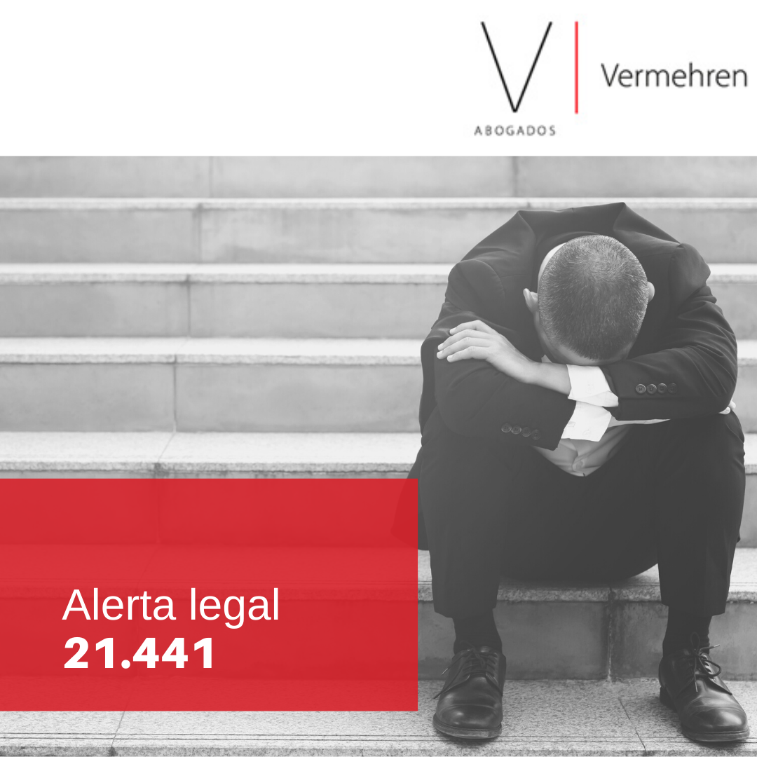 NUEVA LEY 21441